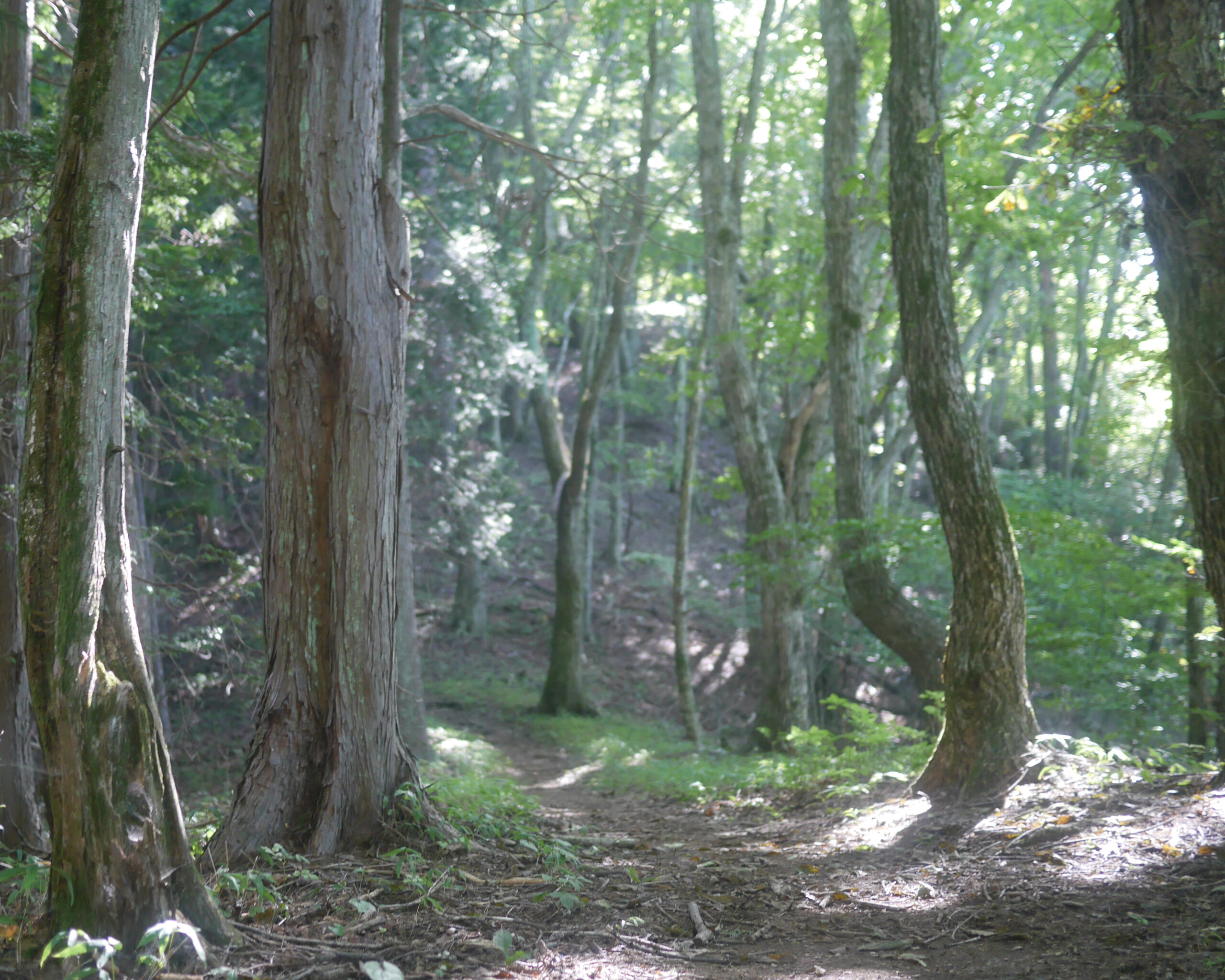 Maruyama to Saibara Pass