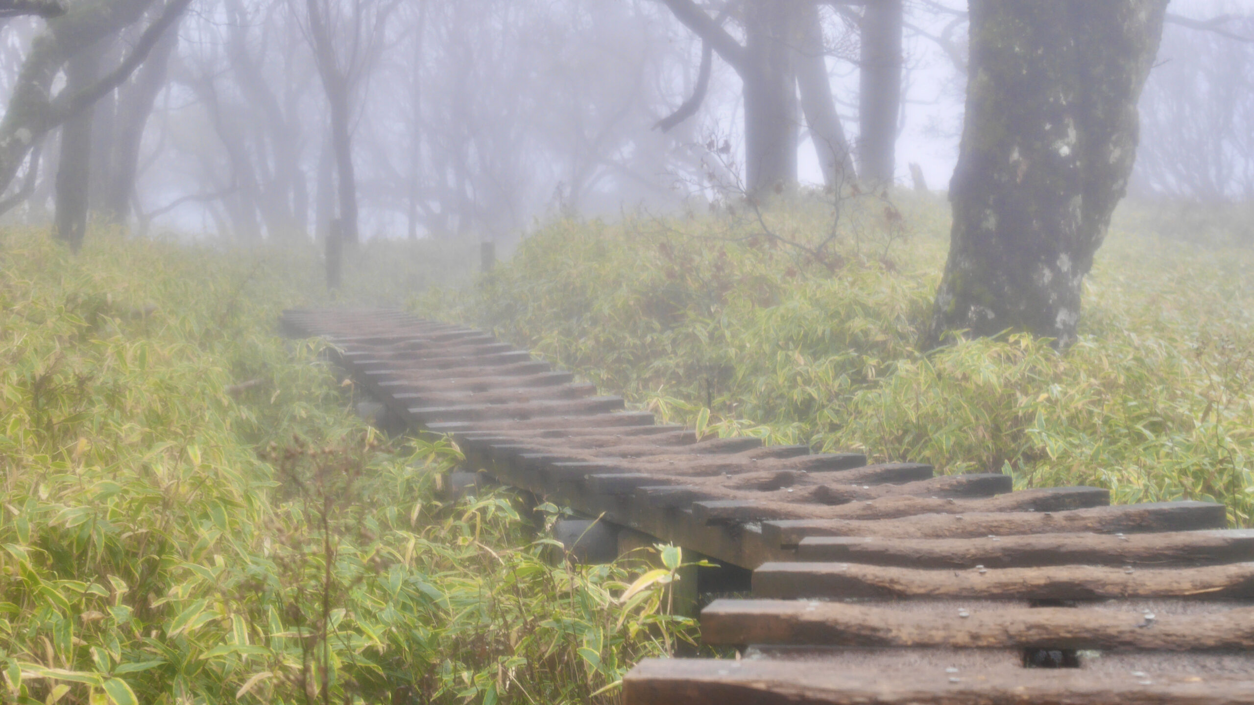 Trail Architecture in Japan